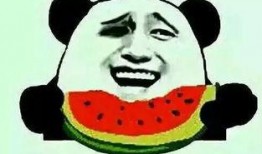 表白的吃瓜群众,揭秘表白背后的甜蜜与酸涩