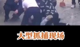 吃瓜群众永远如此淡定,淡定看世界，笑对人生百态