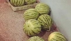 诱惑一波吃瓜群众,吃瓜群众纷纷围观！