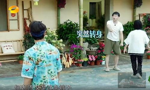 德州吃瓜群众事件真相,真相与反思