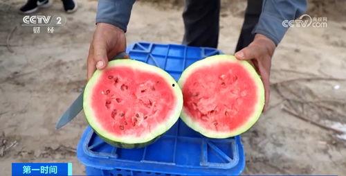 吃瓜群众买什么水果好,夏日消暑好选择