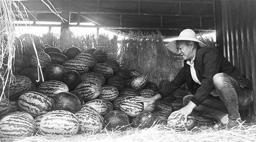 祁县吃瓜群众事件视频最新,网络热议背后的真相与反思