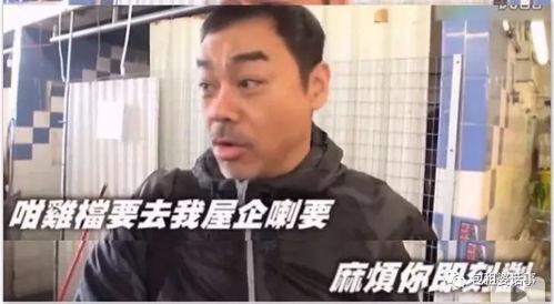 刘青云吃瓜群众是谁,吃瓜群众背后的神秘力量