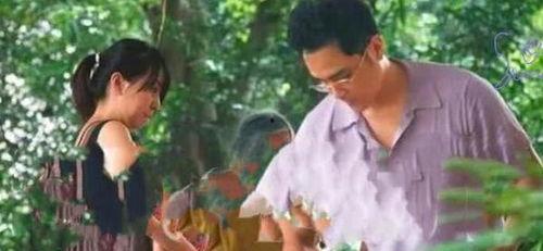 七零年代吃瓜群众TXT下载,吃瓜群众的TXT下载之旅