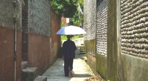 松阳吃瓜群众事件,网络舆论下的社会现象解析