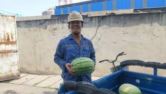 寻找快乐吃瓜群众,揭秘“吃瓜群众”的快乐生活