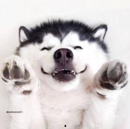 无语吃瓜群众视频素材,一场全民参与的趣味盛宴