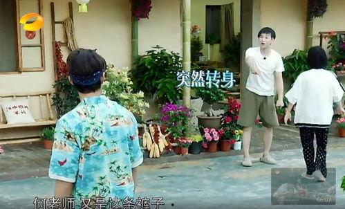 肇庆吃瓜群众事件真相,真相揭秘，还原事件始末