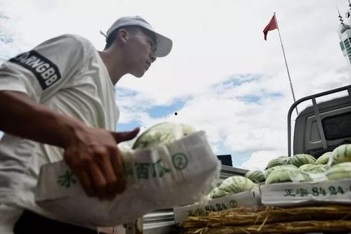 吃瓜群众梦想歌,吃瓜群众梦想之歌