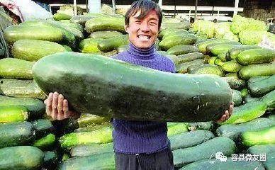 吃瓜群众一般般吧,一般般吧的生活点滴