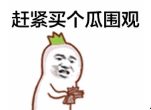 王延斌吃瓜群众是真的吗,吃瓜群众的真实身份揭秘