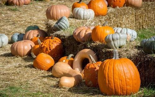 京哥吃瓜群众是哪一集的,揭秘热门剧集背后的故事