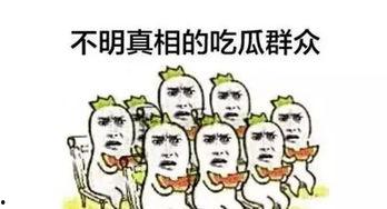 发言吃瓜群众怎么说话的,揭秘发言背后的真实心声