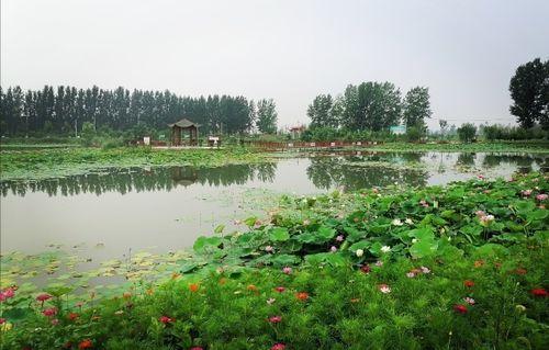 吃瓜群众沙河湿地公园,市民休闲新乐园，生态美景尽收眼底
